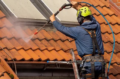 Démoussage et hydrofuge de toiture à Dunières